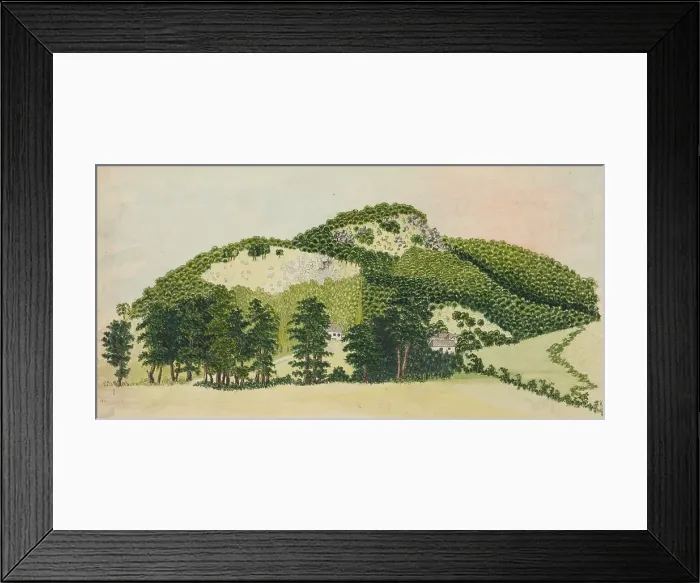 Framed Print : Forest I. 1850-1890. Creator: Unknown Framed Print : Forest I. 1850-1890. Creator: Unknown