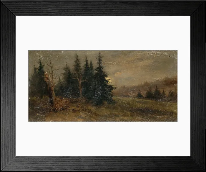 Framed Print : Forest landscape, 1903. Creator: Felician Moczik Framed Print : Forest landscape, 1903. Creator: Felician Moczik