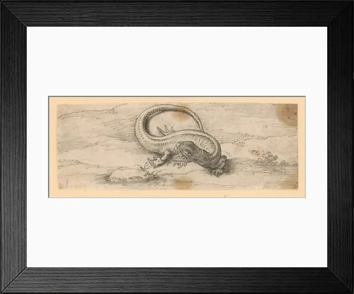 Framed Print : Lizard, 1601 / 1700. Creator: Unknown Framed Print : Lizard, 1601 / 1700. Creator: Unknown