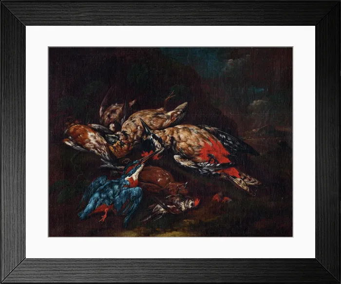 Framed Print : Still Life with Dead Birds, 1720-1740. Creator: Franz Michael Siegmund Von Purgau Framed Print : Still Life with Dead Birds, 1720-1740. Creator: Franz Michael Siegmund Von Purgau