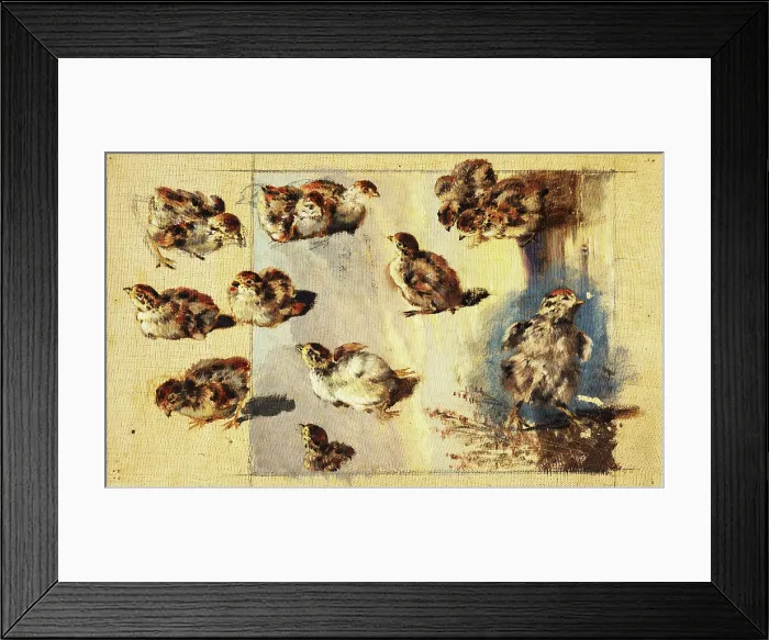 Framed Print : Study of Chicks, 1840-1850. Creator: Friedrich Carl von Scheidlin Framed Print : Study of Chicks, 1840-1850. Creator: Friedrich Carl von Scheidlin