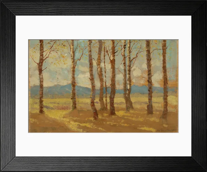 Framed Print : Birches in Autumn, 1900-1910. Creator: Ferdinand Katona Framed Print : Birches in Autumn, 1900-1910. Creator: Ferdinand Katona
