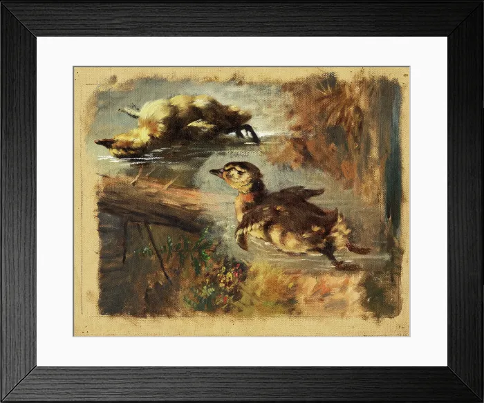 Framed Print : Study of Ducks on the Water I, 1840-1850. Creator: Friedrich Carl von Scheidlin Framed Print : Study of Ducks on the Water I, 1840-1850. Creator: Friedrich Carl von Scheidlin