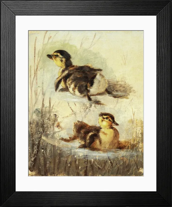 Framed Print : Study of Ducks on the Water II, 1840-1850. Creator: Friedrich Carl von Scheidlin Framed Print : Study of Ducks on the Water II, 1840-1850. Creator: Friedrich Carl von Scheidlin