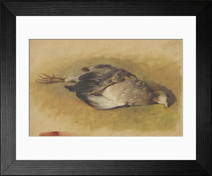 Framed Print : Sketch of a dead partridge, 1840-1850. Creator: Friedrich Carl von Scheidlin Framed Print : Sketch of a dead partridge, 1840-1850. Creator: Friedrich Carl von Scheidlin