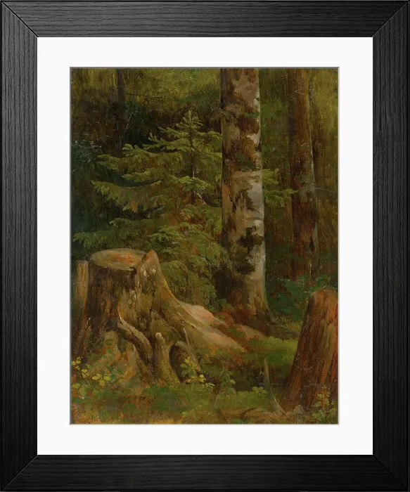 Framed Print : Coniferous woods, interior, 1860-1890. Creator: Friedrich Carl von Scheidlin Framed Print : Coniferous woods, interior, 1860-1890. Creator: Friedrich Carl von Scheidlin