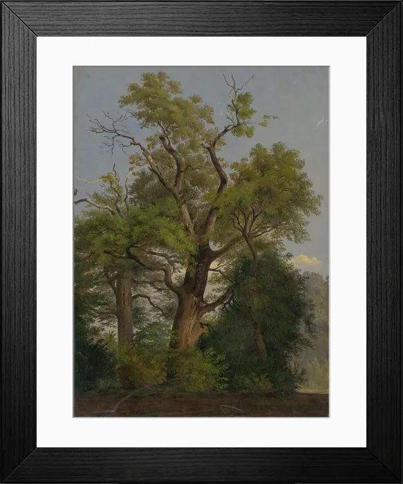Framed Print : Trees, 1860-1890. Creator: Friedrich Carl von Scheidlin Framed Print : Trees, 1860-1890. Creator: Friedrich Carl von Scheidlin