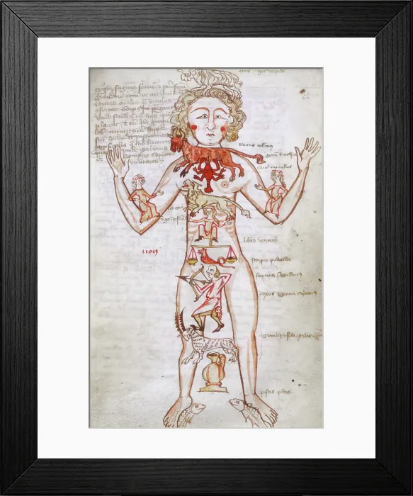 Framed Print : Zodiac man, 15th century. Creator: Unknown Framed Print : Zodiac man, 15th century. Creator: Unknown