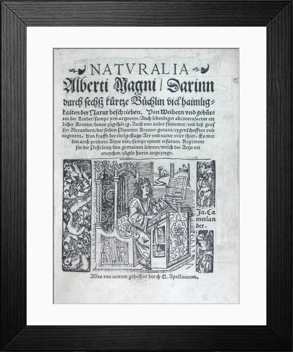 Framed Print : The title page of 'Naturalia', 1548. Creator: Unknown Framed Print : The title page of 'Naturalia', 1548. Creator: Unknown
