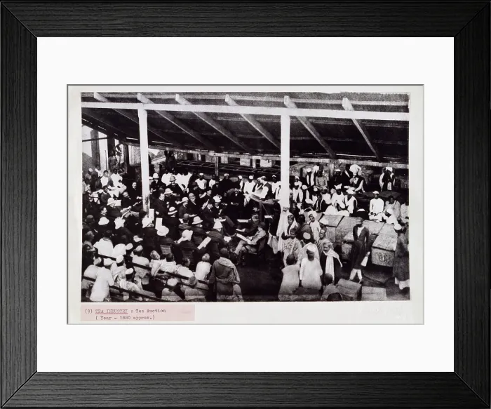 Framed Print : Tea auction, probably in Calcutta, India, c1880. Creator: Bourne & Shepherd Framed Print : Tea auction, probably in Calcutta, India, c1880. Creator: Bourne & Shepherd