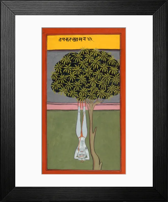 Framed Print : A yogi hanging by his feet from a tree, 19th century. Creator: Unknown Framed Print : A yogi hanging by his feet from a tree, 19th century. Creator: Unknown