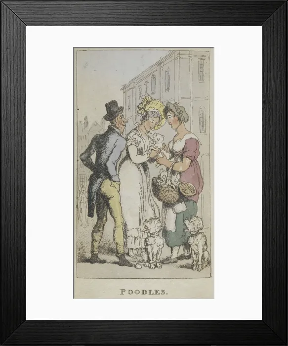 Framed Print : Poodles, 1820. Creator: Thomas Rowlandson. Poodles, 1820. Creator: Thomas Rowlandson Framed Print : Poodles, 1820. Creator: Thomas Rowlandson. Poodles, 1820. Creator: Thomas Rowlandson