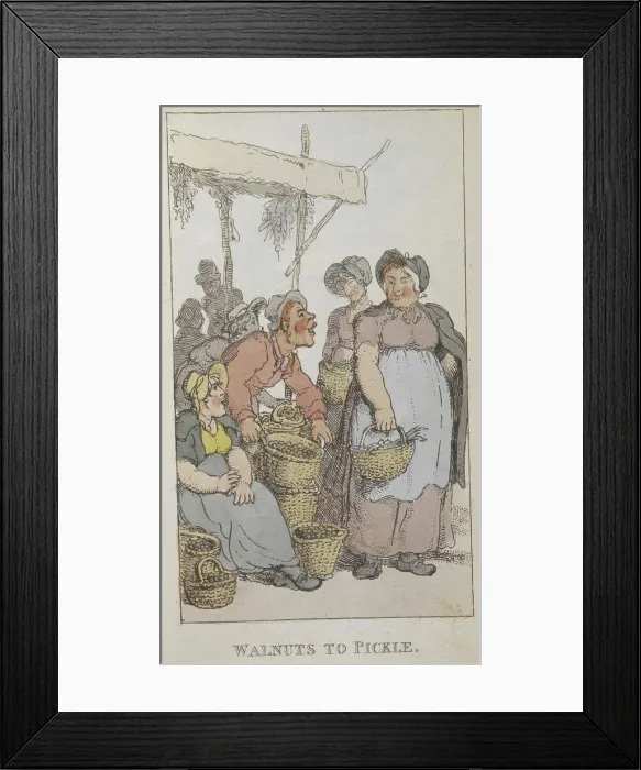 Framed Print : Walnuts to pickle, 1820. Creator: Thomas Rowlandson. Walnuts to pickle, 1820. Creator: Thomas Rowlandson Framed Print : Walnuts to pickle, 1820. Creator: Thomas Rowlandson. Walnuts to pickle, 1820. Creator: Thomas Rowlandson