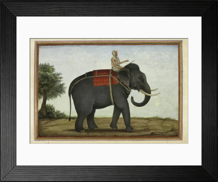 Framed Print : An elephant keeper riding his elephant, 1825. Creator: Anon Framed Print : An elephant keeper riding his elephant, 1825. Creator: Anon