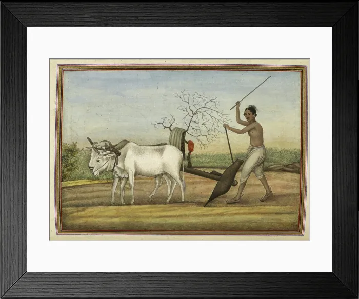 Framed Print : 'Jat', a numerous tribe spread over much of north, 1825. Creator: Anon Framed Print : 'Jat', a numerous tribe spread over much of north, 1825. Creator: Anon