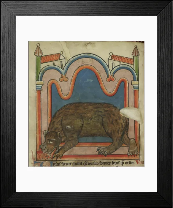 Framed Print : Bear licking a cub into shape, c1230s. Creator: Unknown Framed Print : Bear licking a cub into shape, c1230s. Creator: Unknown