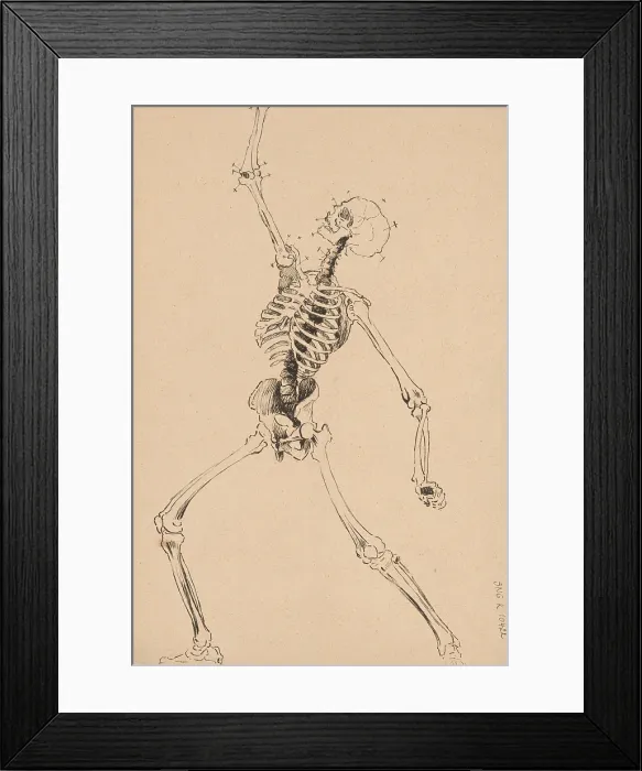 Framed Print : Study of a human skeleton, 1880-1904. Creator: Janos Fadrusz Framed Print : Study of a human skeleton, 1880-1904. Creator: Janos Fadrusz