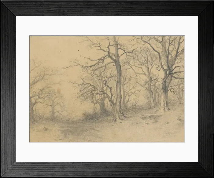 Framed Print : Study of trees, 1897. Creator: Ludovit Cordak Framed Print : Study of trees, 1897. Creator: Ludovit Cordak