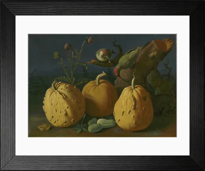 Framed Print : Still Life with Pumpkins and Cucumbers, 1734. Creator: Istvan Mihsaly Izbeghy Framed Print : Still Life with Pumpkins and Cucumbers, 1734. Creator: Istvan Mihsaly Izbeghy