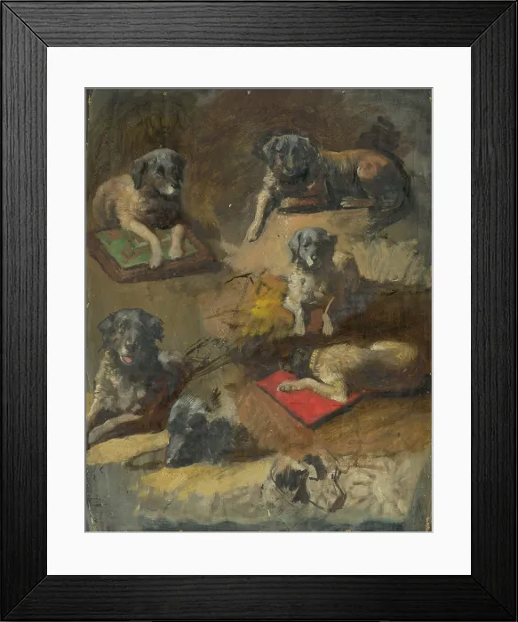 Framed Print : Study of a Dog, 1860-1900. Creator: Jan Nowopacky Framed Print : Study of a Dog, 1860-1900. Creator: Jan Nowopacky