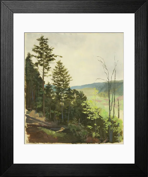 Framed Print : Hill with scrub, 1850-1900. Creator: Jan Nowopacky