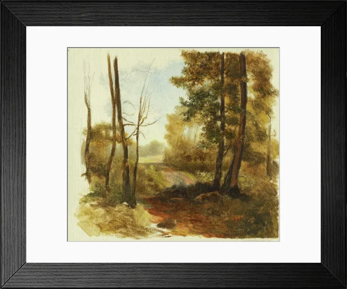 Framed Print : Forest path, 1850-1900. Creator: Jan Nowopacky Framed Print : Forest path, 1850-1900. Creator: Jan Nowopacky