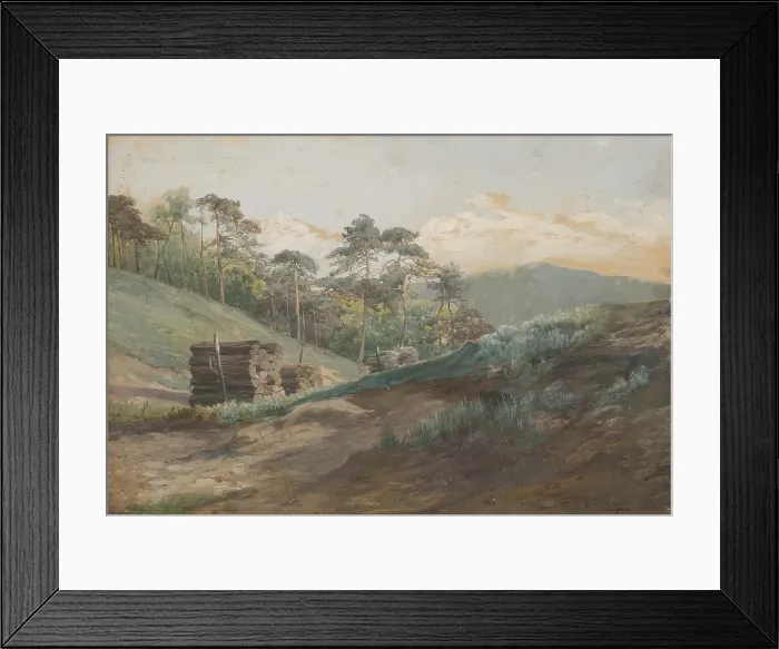 Framed Print : A forest valley with pine trees, around 1894-1895. Creator: Ludovit Cordak Framed Print : A forest valley with pine trees, around 1894-1895. Creator: Ludovit Cordak