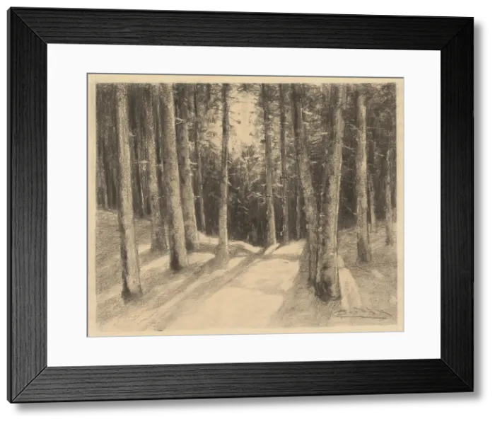 Framed Print : Forest, 1901-1937. Creator: Ludovit Cordak Framed Print : Forest, 1901-1937. Creator: Ludovit Cordak