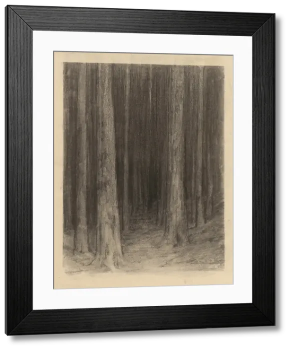 Framed Print : Forest twilight, around 1930. Creator: Ludovit Cordak Framed Print : Forest twilight, around 1930. Creator: Ludovit Cordak