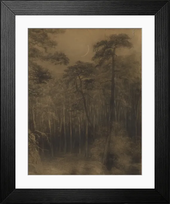 Framed Print : Pine forest, 1892-1893. Creator: Ludovit Cordak Framed Print : Pine forest, 1892-1893. Creator: Ludovit Cordak