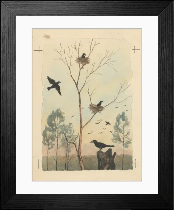 Framed Print : Crow, 1950-1953. Creator: Andrej Kovacik Framed Print : Crow, 1950-1953. Creator: Andrej Kovacik