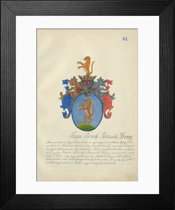 Framed Print : Coat of arms of the Torok-Turcsek family, 1904-1910. Creator: Adolf Medzihradsky Framed Print : Coat of arms of the Torok-Turcsek family, 1904-1910. Creator: Adolf Medzihradsky