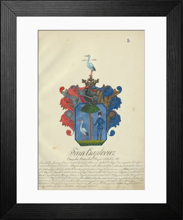 Framed Print : Coat of arms of the caplovic family, 1904-1910. Creator: Adolf Medzihradsky Framed Print : Coat of arms of the caplovic family, 1904-1910. Creator: Adolf Medzihradsky