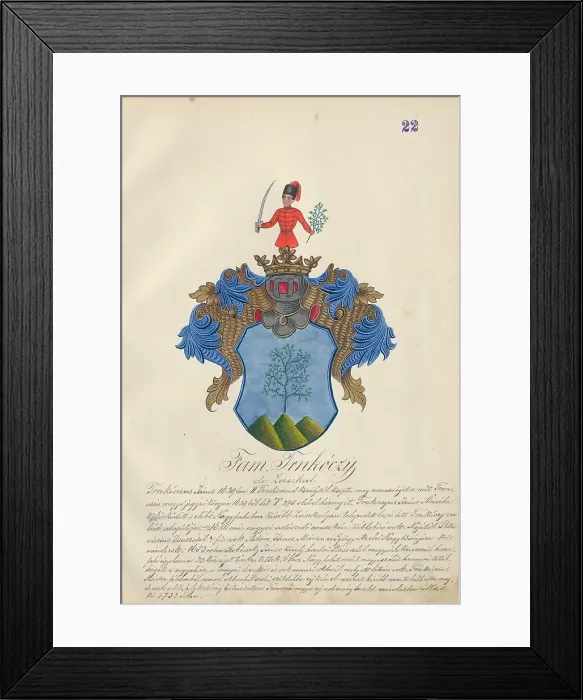 Framed Print : Coat of arms of the Trnkoczy family, 1904-1910. Creator: Adolf Medzihradsky Framed Print : Coat of arms of the Trnkoczy family, 1904-1910. Creator: Adolf Medzihradsky