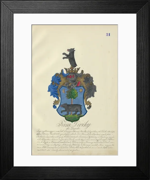 Framed Print : Coat of arms of the Diveky family, 1904. Creator: Adolf Medzihradsky Framed Print : Coat of arms of the Diveky family, 1904. Creator: Adolf Medzihradsky