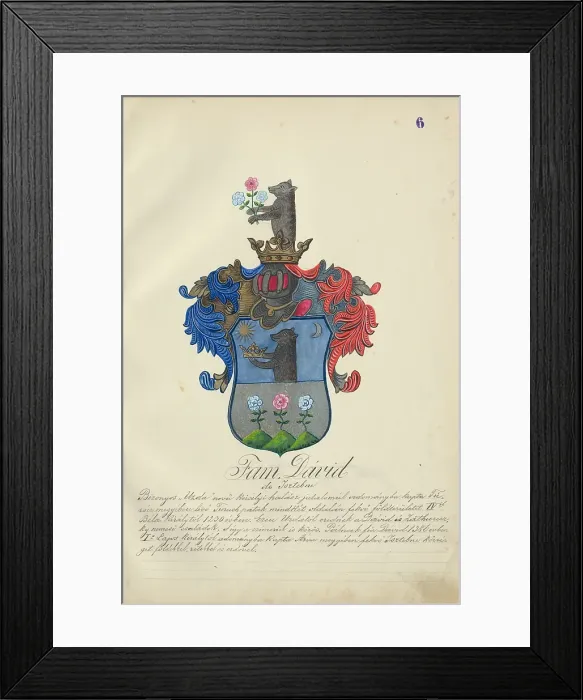 Framed Print : Coat of arms of the David family, 1904. Creator: Adolf Medzihradsky Framed Print : Coat of arms of the David family, 1904. Creator: Adolf Medzihradsky