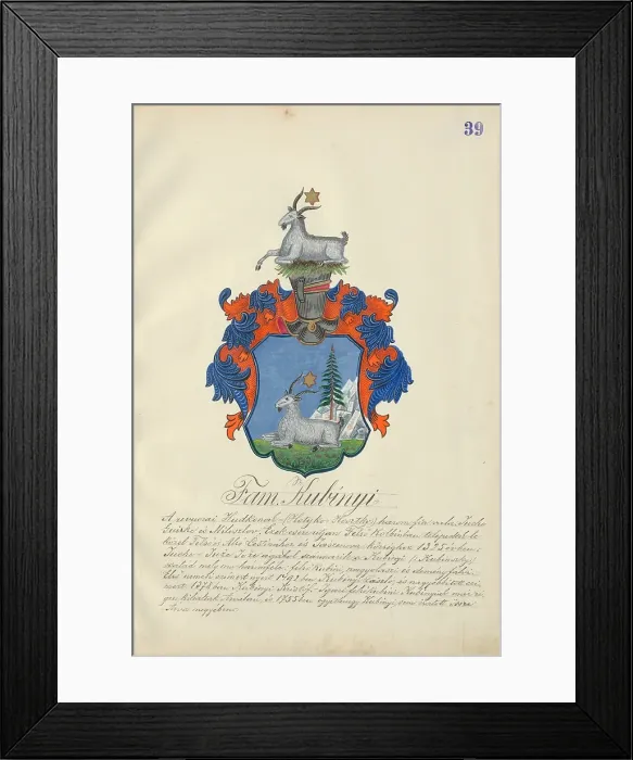 Framed Print : Coat of arms of the Kubinyi family, 1904. Creator: Adolf Medzihradsky Framed Print : Coat of arms of the Kubinyi family, 1904. Creator: Adolf Medzihradsky