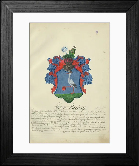 Framed Print : Coat of arms of the Bajcsy family, 1904. Creator: Adolf Medzihradsky Framed Print : Coat of arms of the Bajcsy family, 1904. Creator: Adolf Medzihradsky
