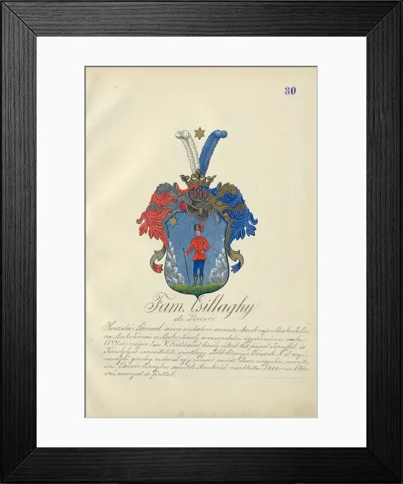 Framed Print : Coat of arms of the Csillaghy family, 1904. Creator: Adolf Medzihradsky Framed Print : Coat of arms of the Csillaghy family, 1904. Creator: Adolf Medzihradsky