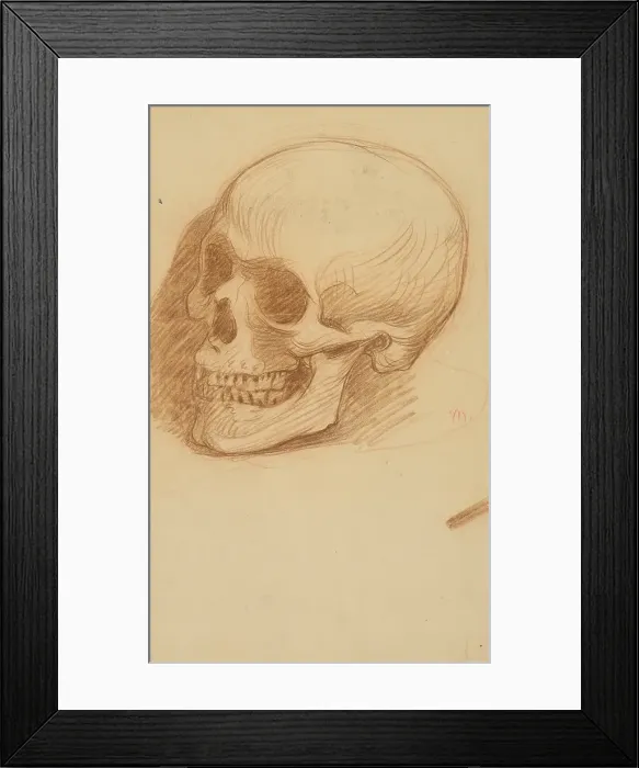 Framed Print : Study of a skull, 1895-1900. Creator: Milan Thomka Mitrovsky