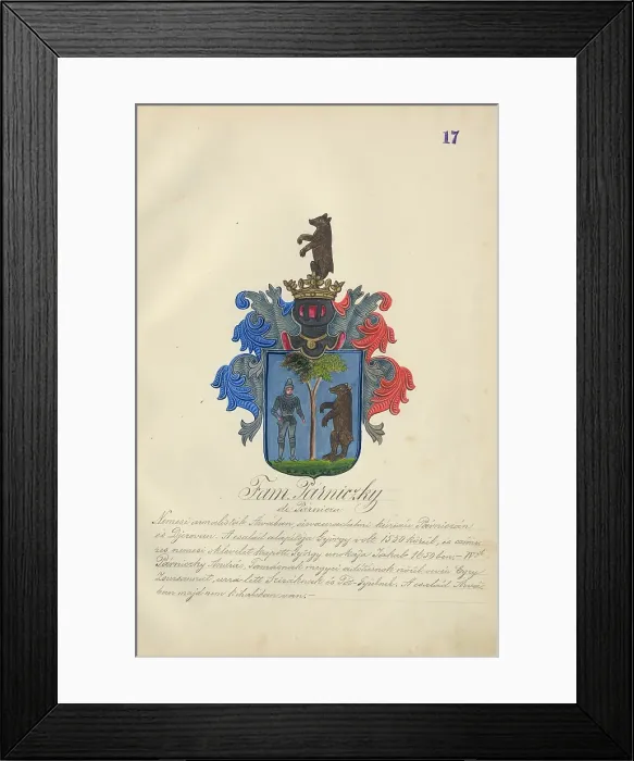 Framed Print : Coat of arms of the Parnicka family, 1904. Creator: Adolf Medzihradsky Framed Print : Coat of arms of the Parnicka family, 1904. Creator: Adolf Medzihradsky