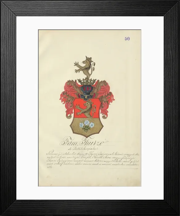 Framed Print : Coat of arms of the Thurz family, 1904-1910. Creator: Adolf Medzihradsky Framed Print : Coat of arms of the Thurz family, 1904-1910. Creator: Adolf Medzihradsky