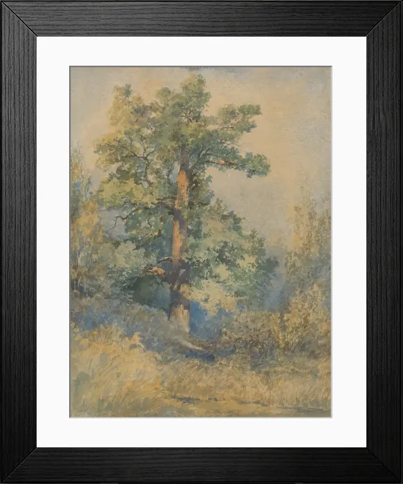 Framed Print : Tree, 1872. Creator: Ladislav Mednyanszky Framed Print : Tree, 1872. Creator: Ladislav Mednyanszky