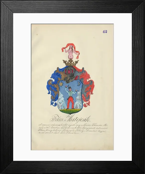Framed Print : Coat of arms of the Matejcikova family, 1904-1910. Creator: Adolf Medzihradsky Framed Print : Coat of arms of the Matejcikova family, 1904-1910. Creator: Adolf Medzihradsky