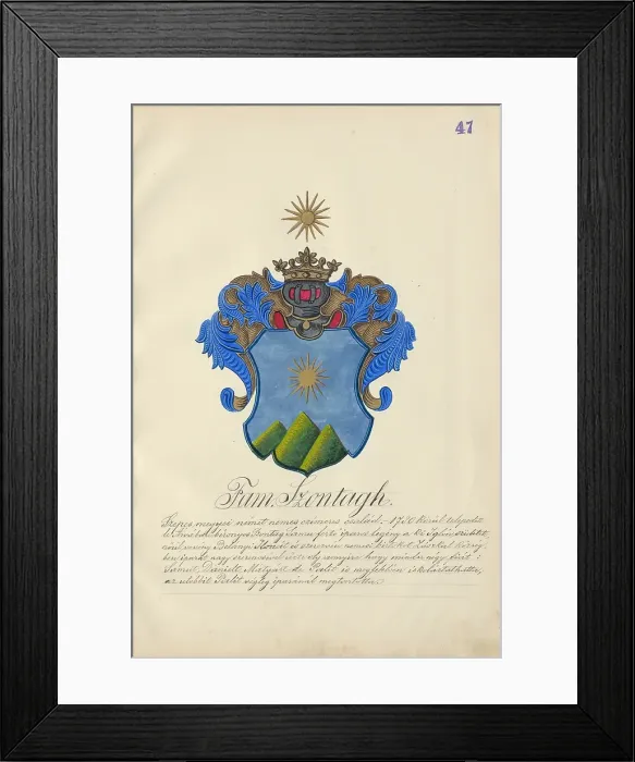 Framed Print : Coat of arms of the Szontagh family, 1904-1910. Creator: Adolf Medzihradsky Framed Print : Coat of arms of the Szontagh family, 1904-1910. Creator: Adolf Medzihradsky