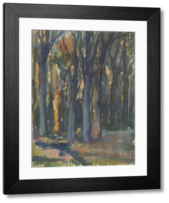 Framed Print : Forest, around 1935. Creator: Zolo Palugyay Framed Print : Forest, around 1935. Creator: Zolo Palugyay