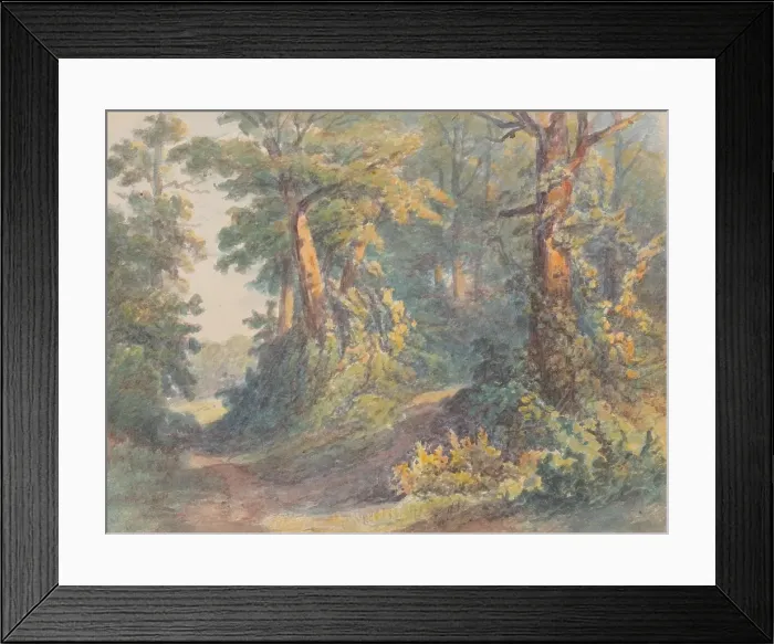 Framed Print : Forest motif, around 1900. Creator: Friedrich Carl von Scheidlin Framed Print : Forest motif, around 1900. Creator: Friedrich Carl von Scheidlin