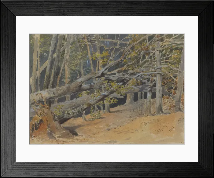 Framed Print : Study of felled trees, 1881. Creator: Friedrich Carl von Scheidlin Framed Print : Study of felled trees, 1881. Creator: Friedrich Carl von Scheidlin