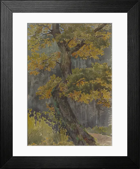 Framed Print : Study of a deciduous tree. Motif from St. George, 1881. Creator: Friedrich Carl von Scheidlin
