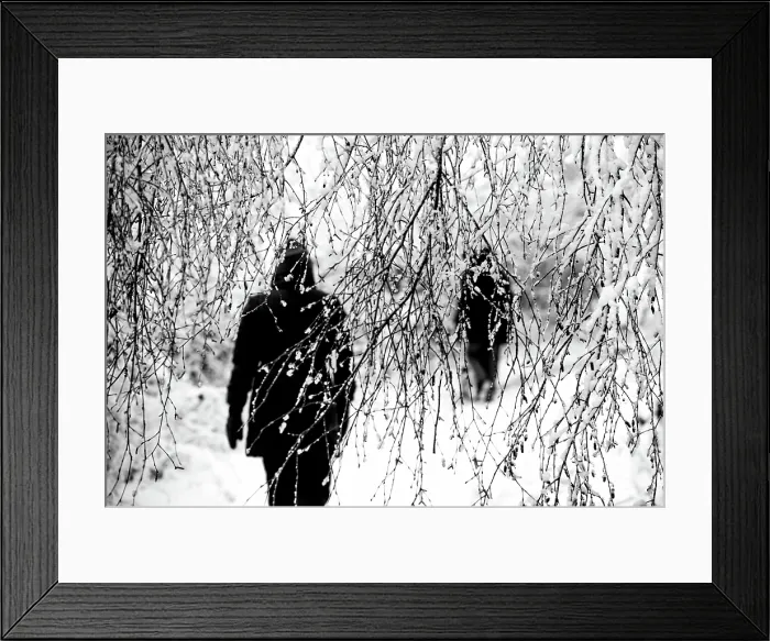 Framed Print : Winter Stroll. Creator: Dorte Verner Framed Print : Winter Stroll. Creator: Dorte Verner